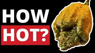 Pepper X on the Scoville Scale