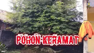 CUTTING OF THE SACRED TREE (Ghost's Nest)