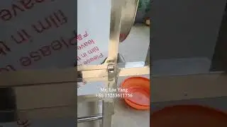 Peanut washing machine 20240205