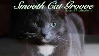 Smooth Cat Groove
