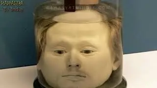 Human Head Kept Inside Bottle From 176 years | Mystery Videos In Hindi