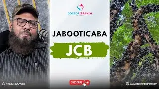 JCB &ndash; Natural Relief from Stress & Anxiety | جے سی بی سے دباؤ اور بے چینی کا قدرتی علاج | Dr Ibrahim