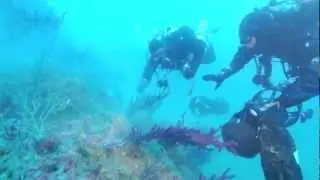 Ghost nets at Bonifica Secca Isuela (Portofino) via Ghostdiving.org