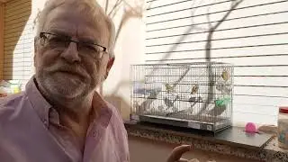Pasando una mañana con los canarios en el aviario del Sr. Pedró.