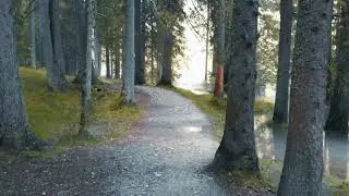 Toblacher See Dolomiten