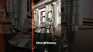 craft beers 🍺#goa #microbrewery #reels #lizardking