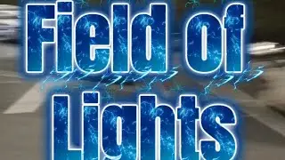 FIELD OF LIGHTS 2025