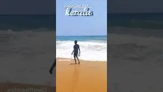 golden Sand Beach near kerala #viralvideo #india #shortvideo #shrots #shortvideo #editingvideo 🫶😍😊❤️