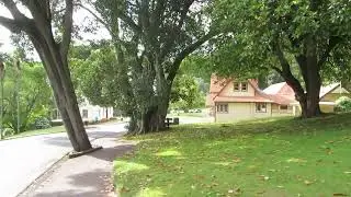 The green lung of the largest city in the country! Auckland biggest park early morning