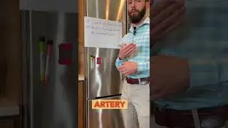Limb Occlusion Pressure - BFR
