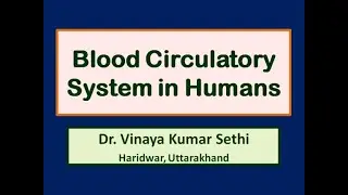 Human Heart and Blood Circulatory System Explained by Vinay Sethi