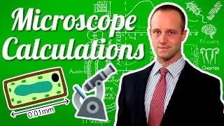 Microscope Magnification - GCSE IGCSE 9-1 Biology - Science - Succeed In Your GCSE and IGCSE