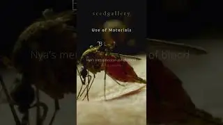 Nya's Expert Use of Unconventional Materials | Artist Appraisal | Seed Gallery #art #artist #learn