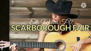 Scarborough Fair (Instrumental Version) # TarynHarbridge #violinInstrumental #Scarborough Fair