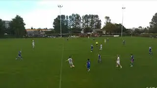 Vs Hamilton Wanderers