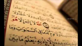 سورة الأحزاب عبدالمحسن القاسم