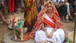 Woman Marries Dog In Traditional Ceremony In India