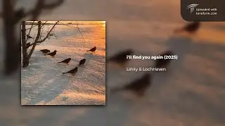 Limly & LochHaven - i'll find you again (2025) | Ambient
