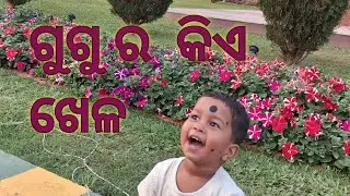 #ଗୁଗୁ ଓଡ଼ିଶା ଆସି କେତେ ଦିନ ପରେ ସେ ବହୁ ଖୁସି ହେଇ କେତେ ଖେଳ 