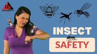 Insect Bite and Sting Safety | How to Prevent Bites and React to Allergic Reactions