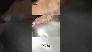 Jaskinia z Mało Światła