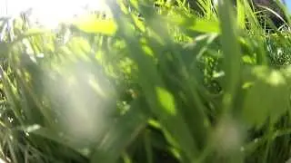 FILE0001