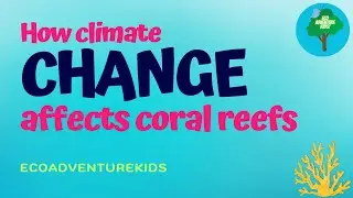 How Climate Change affects Coral Reefs