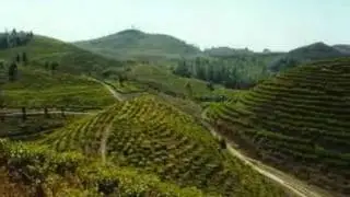 Jhyal Bata Heri (OFFICIAL) - Anish Okely - Nepali Song - OKELY //