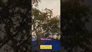 Domjur chemical factory #tranding #factory #domjur #shorts #shortvideo#howrah