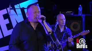 Taxiride - How I Got This Way (Live @ Bird's Basement, 2023)