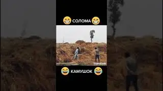 ТОПОВАЯ ПОДБОРКА СМЕШНЫХ ВИДЕО 2023
