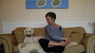 Boosting Mental Energy - Simple and Powerful Techniques with Prune Harris