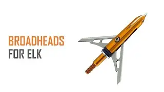 Best Broadheads for Elk