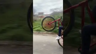 Mafia Medusa 💪#mafiabike #onehand #wheelie #medusa #mafia