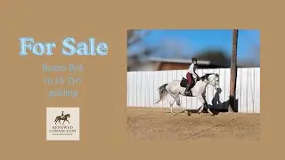 FOR SALE- Rosie&rsquo;s Bolt