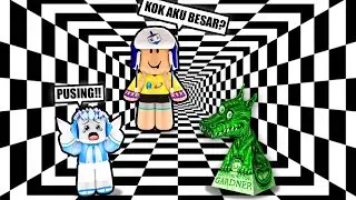 ILUSI OPTIK BUAT BINGUNG DAN SAKIT KEPALA DI ROBLOX!!