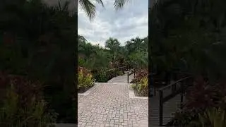 Tropical #garden #tropical #fun #starprincess #cruise #mexico #shopping #shop #plants #beautiful