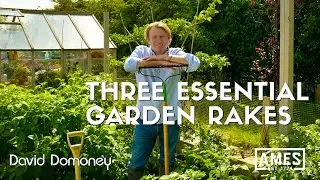 Garden Rakes: The Unsung Heroes of Your Backyard