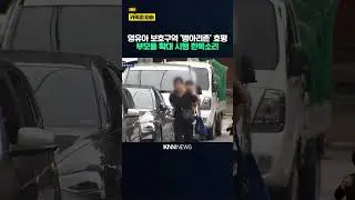 '병아리존'으로 찾은 등원길 안전, 확대 시행 목소리 / KNN