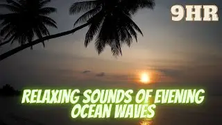 Relaxing sounds of evening ocean waves for sleep | Расслабляющие звуки волн вечернего океана для сна