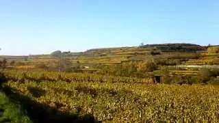 Herbstpanorama Kremser Weinberge, Gebling