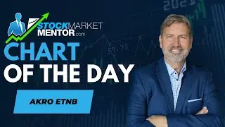 Check out $AKRO and $ETNB