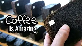 FREE FUEL From Coffee Waste 🔥🔥🔥