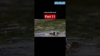 Haq Allah YouTube Channel Quran Surat Yaseen Ayat 51-55 #Quran #Surat #Yaseen #Viral #Video #Viral🇵🇸
