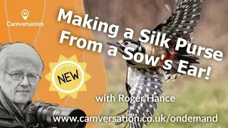 FREE: Highlights for Making a Silk Purse From a Sow's Ear with Roger Hance