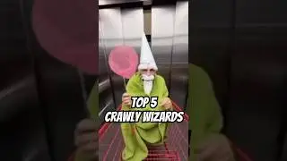 Top 5 Crawly Wizards