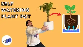 3D Printing a Self Watering Plant Pot Instead of Just Buying One