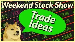 Inflation Expectations Overblown? BTC DOGE ETH GME GEO WISH Trade Ideas | Weekend Stock Show