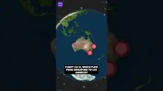Singapore Airlines Flight SQ21: The longest flight in the world in 1990 Plane #shorts