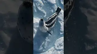 unbelievable animal part 52.#Shorts #Nature #Unbelievable #WildLife #WeirdAnimals #Viral #ShortsFeed